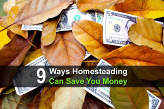 9 Ways Homesteading Can Save You Money
