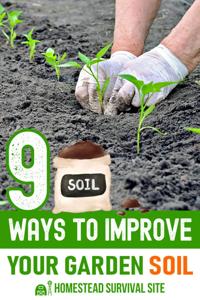 9 Ways to Improve Your Garden Soil