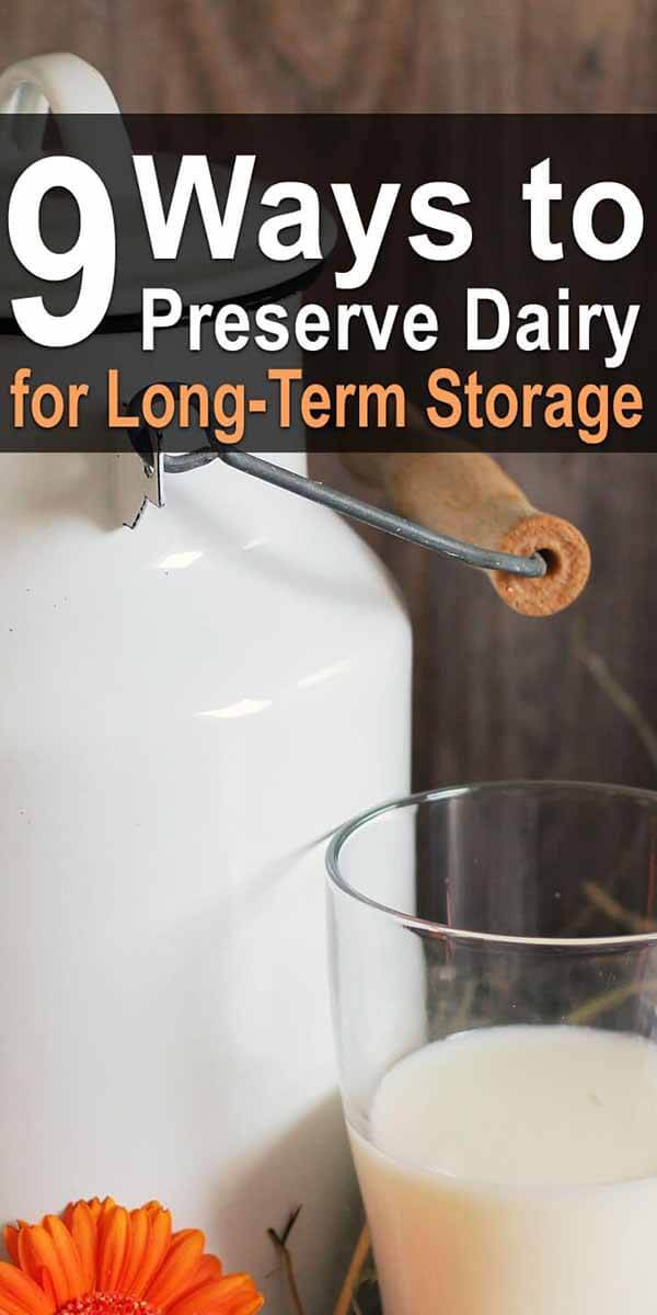 9 Ways to Preserve Dairy for Long-Term Storage
