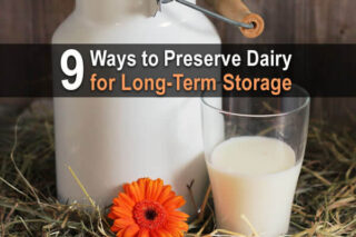 9 Ways to Preserve Dairy for Long Term Storage
