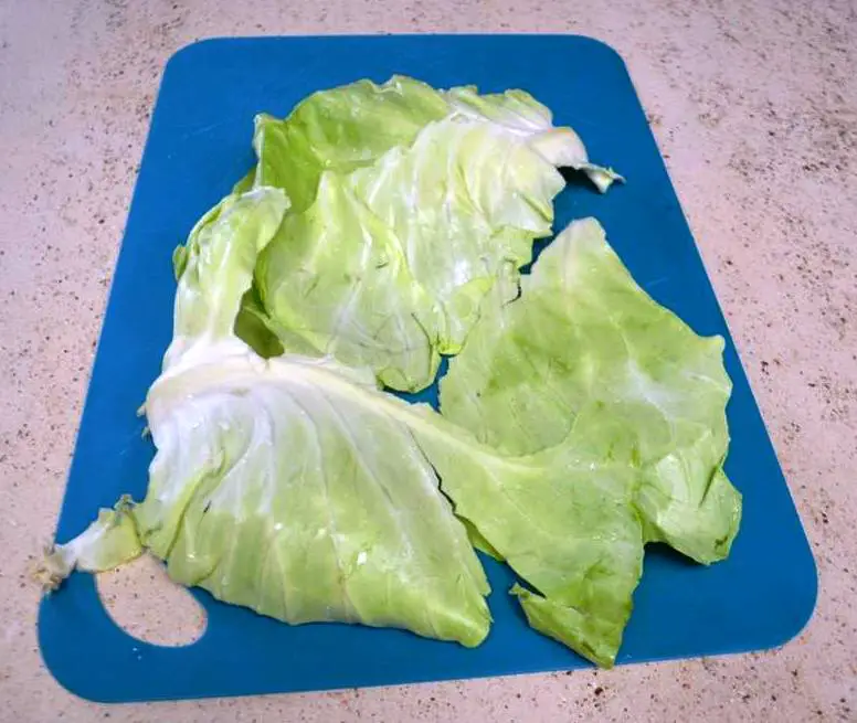 CABBAGE LEAVES