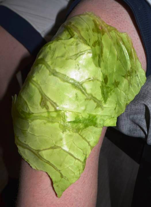 CABBAGE ON KNEE