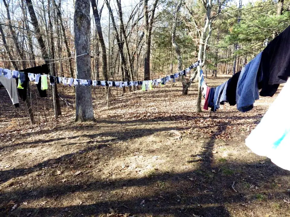 CLOTHESLINE IN THE WOODS