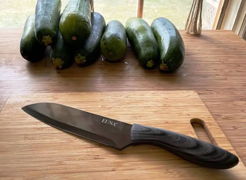 CUTTING BOARD WITH KNIFE