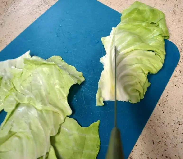 CUTTING CABBAGE LEAVES