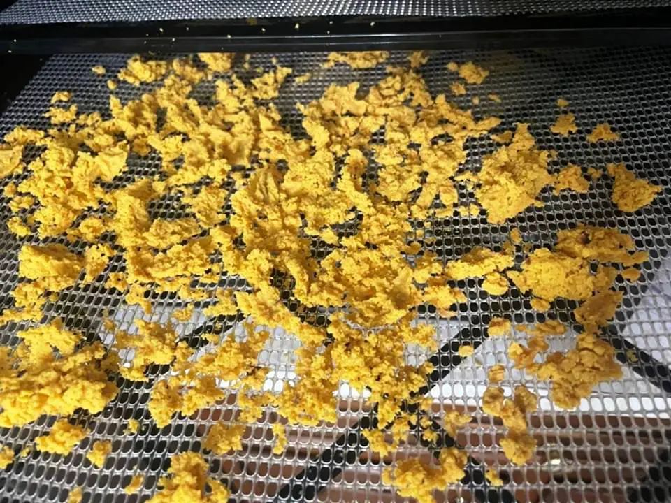 DEHYDRATED EGGS