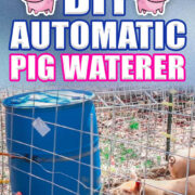 Pinterest Hidden Image