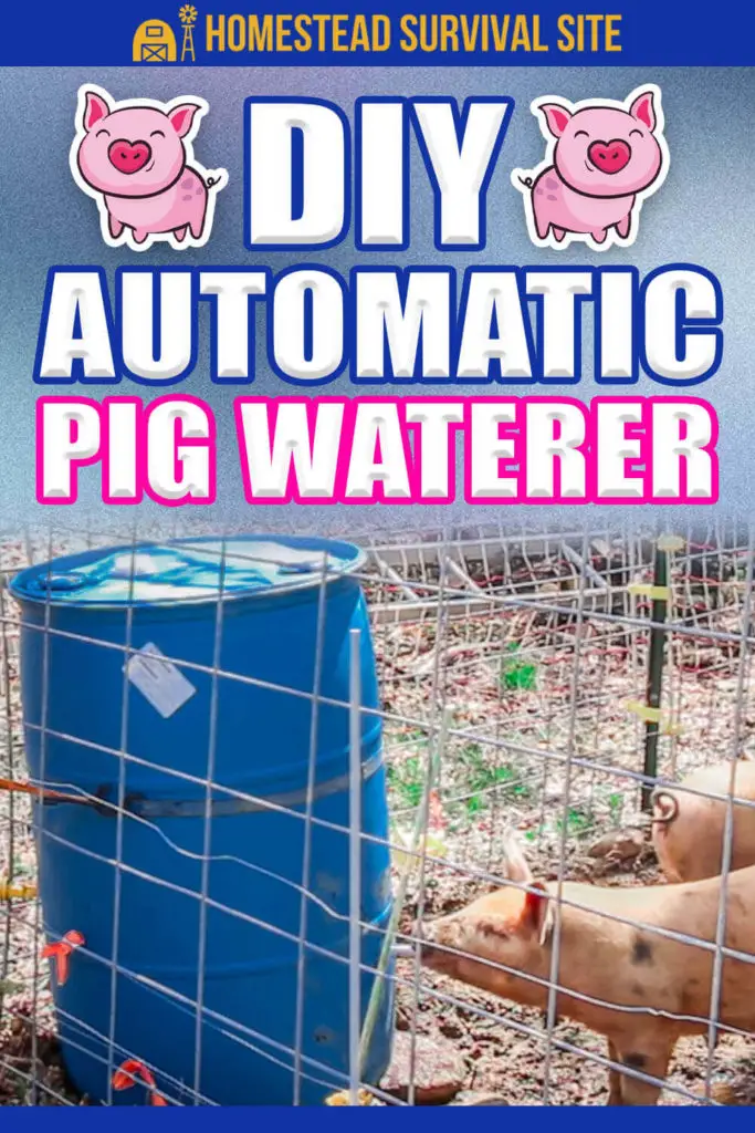 DIY Automatic Pig Waterer