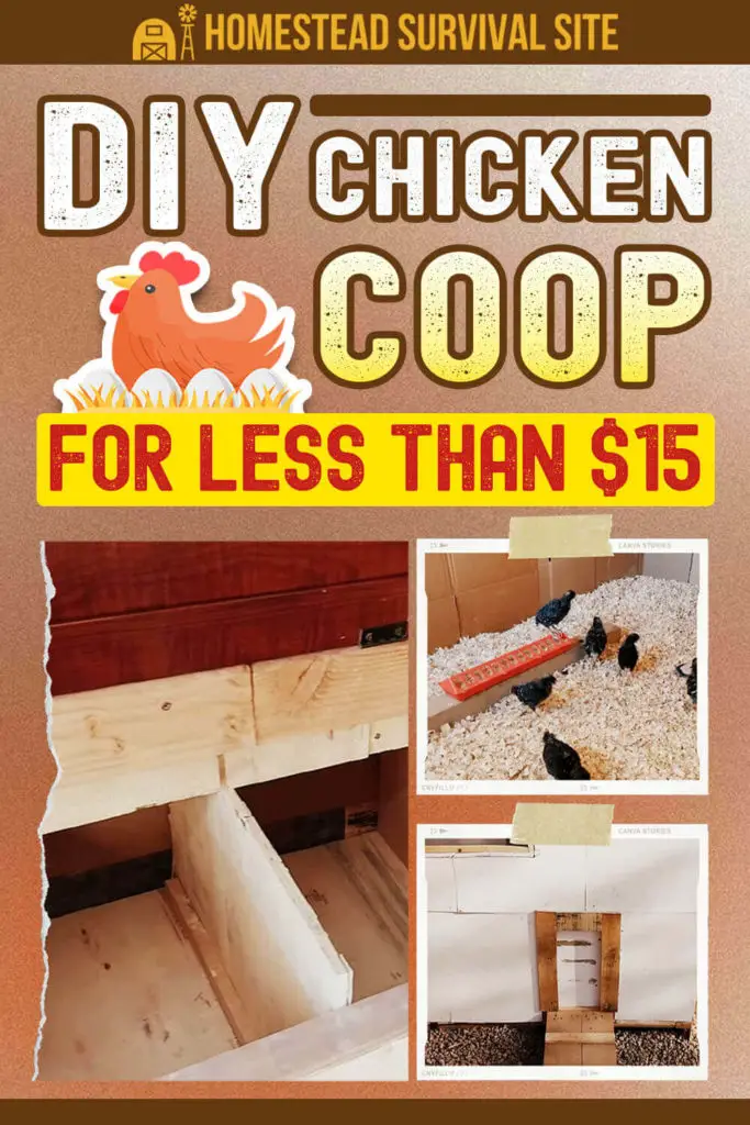 DIY Chicken Coop for Less Than $15