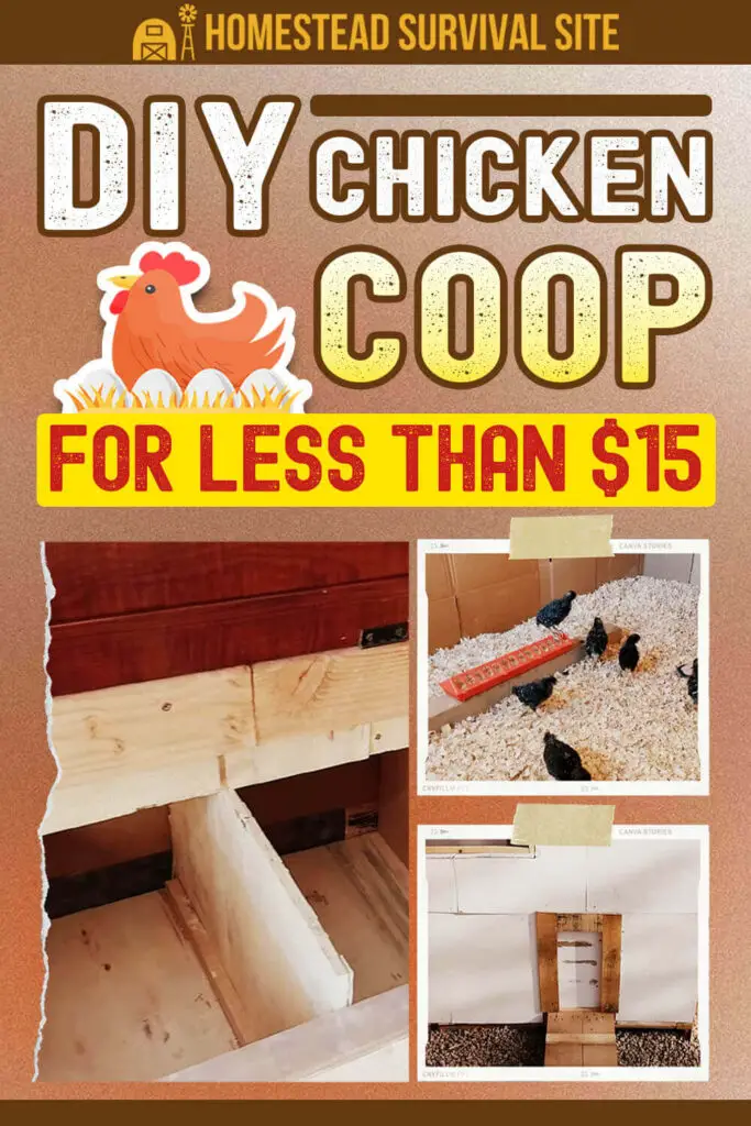 DIY Chicken Coop for Less Than $15