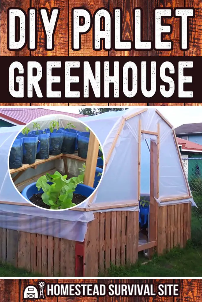 DIY Pallet Greenhouse