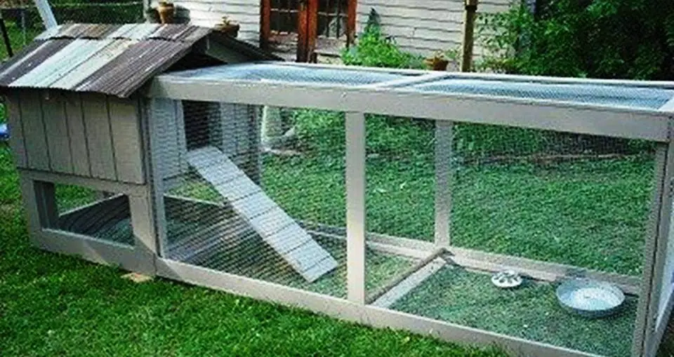 DOGHOUSE CHICKEN COOP