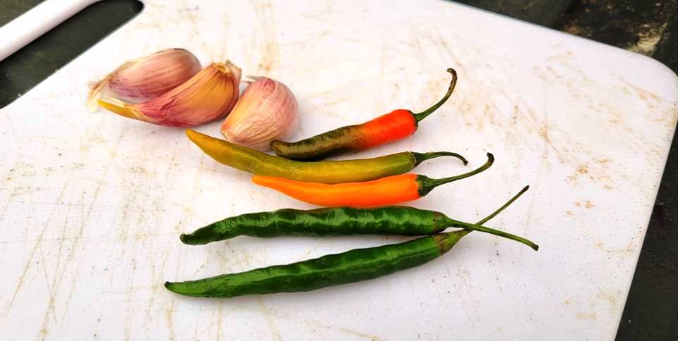 HOT PEPPERS