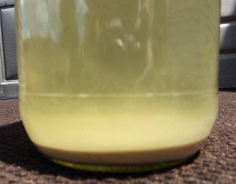 How to Make White Vinegar at Home
