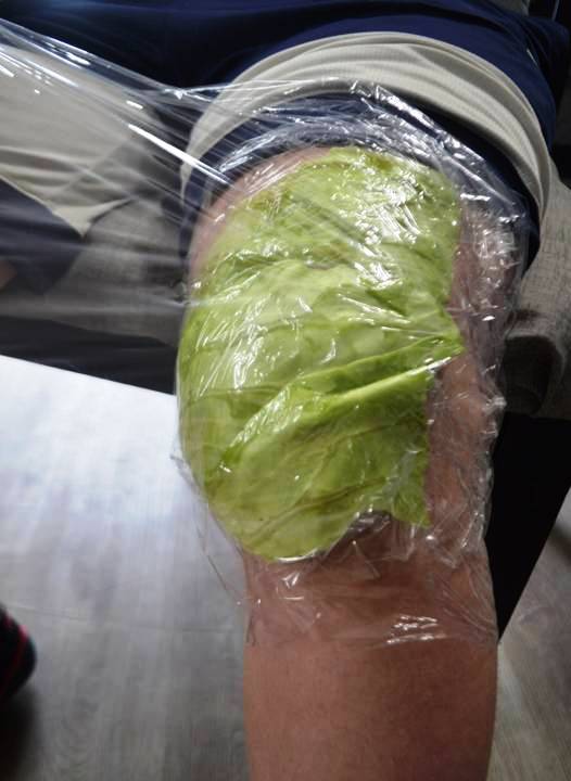 PLASTIC WRAP OVER CABBAGE