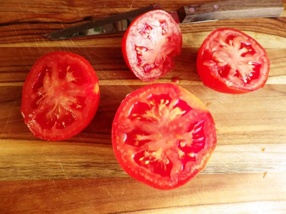 SLICED TOMATOES