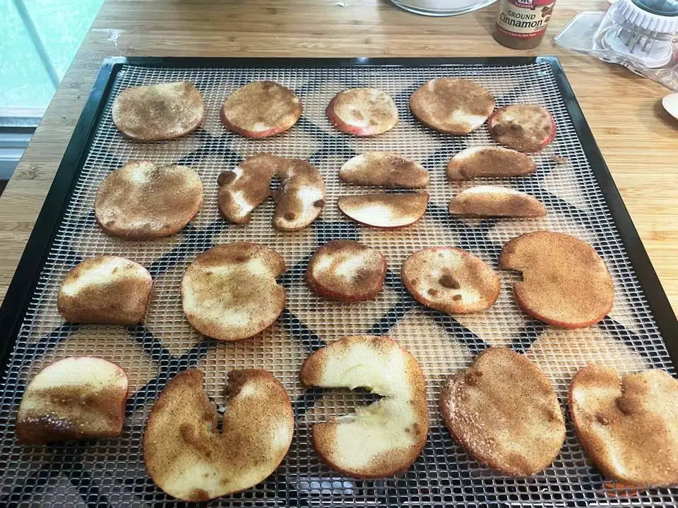 SPICED APPLE SLICES