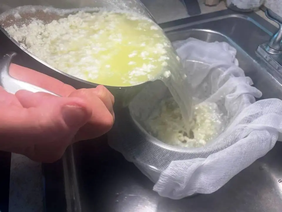STRAINING CURDS AND WHEY