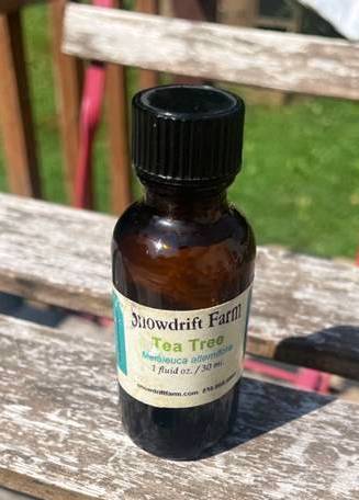 TEA TREE OIL