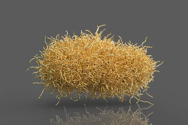 TUMBLEWEED