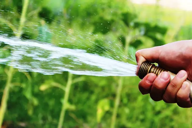WATERING WITH HOSE