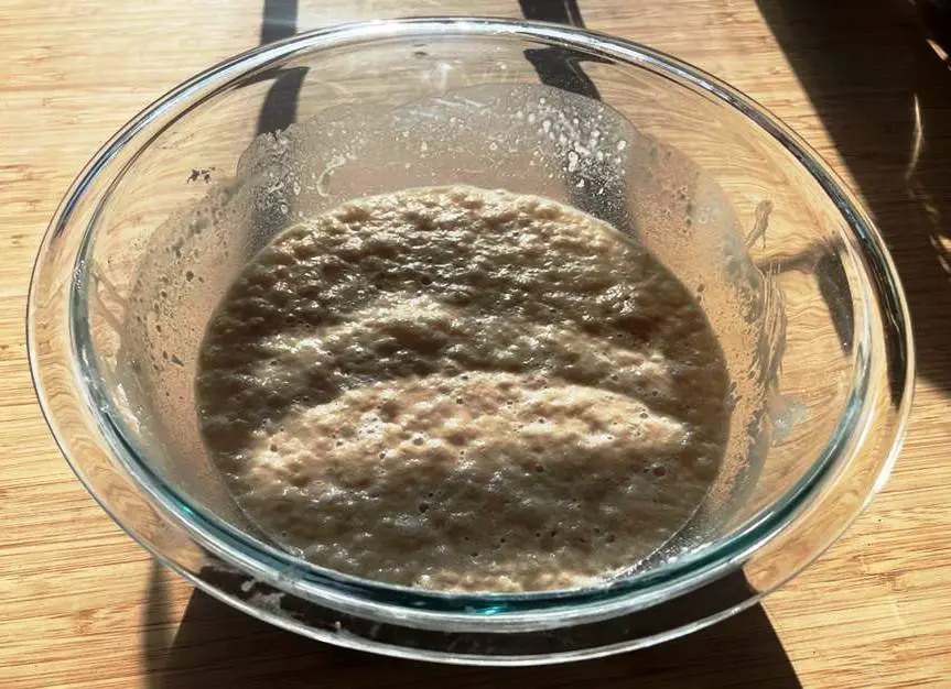 YEAST IN BOWL