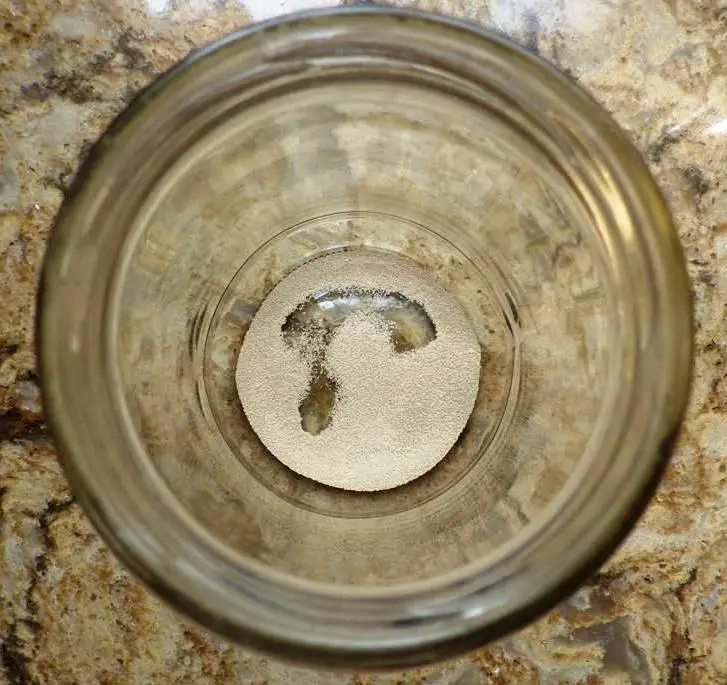 YEAST IN JAR