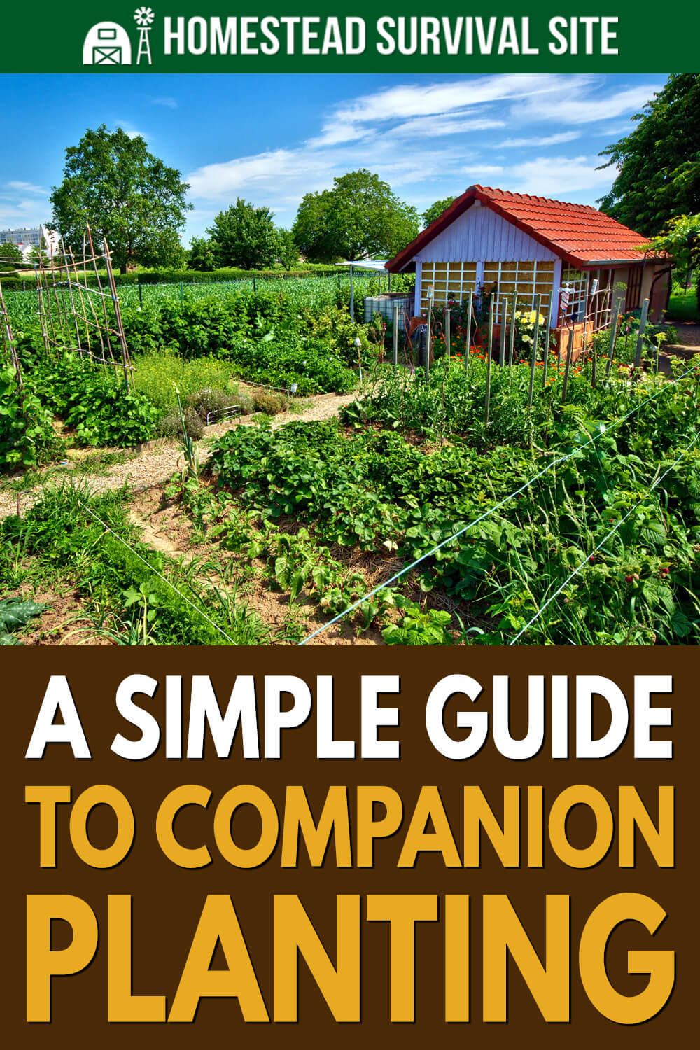 A Simple Guide to Companion Planting