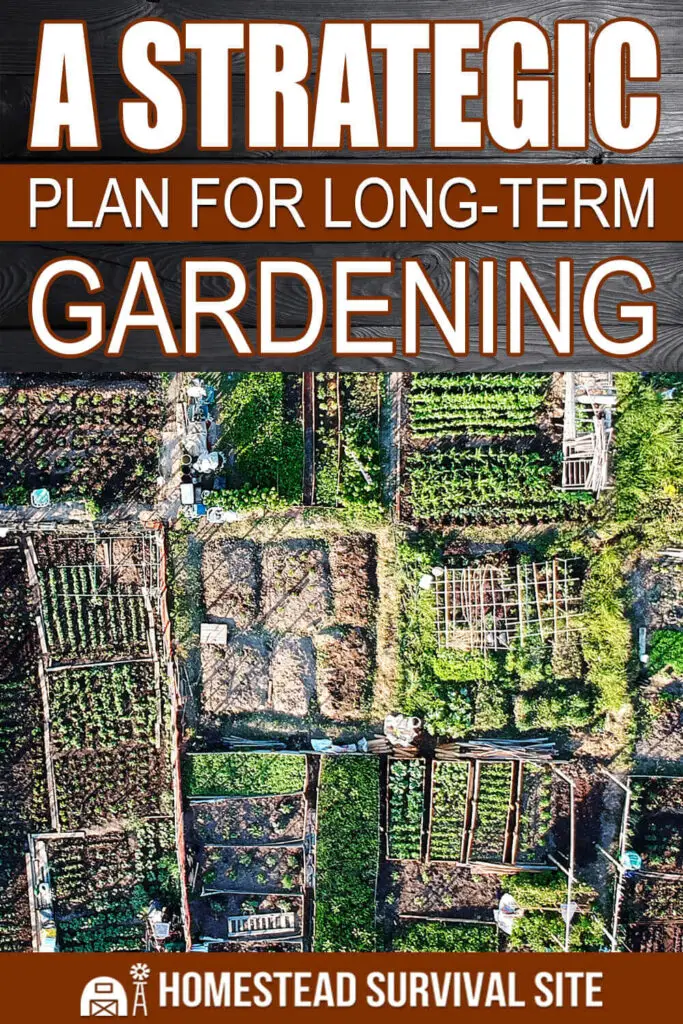 A Strategic Plan for Long-Term Gardening