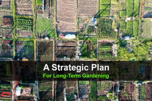 A Strategic Plan for Long-Term Gardening