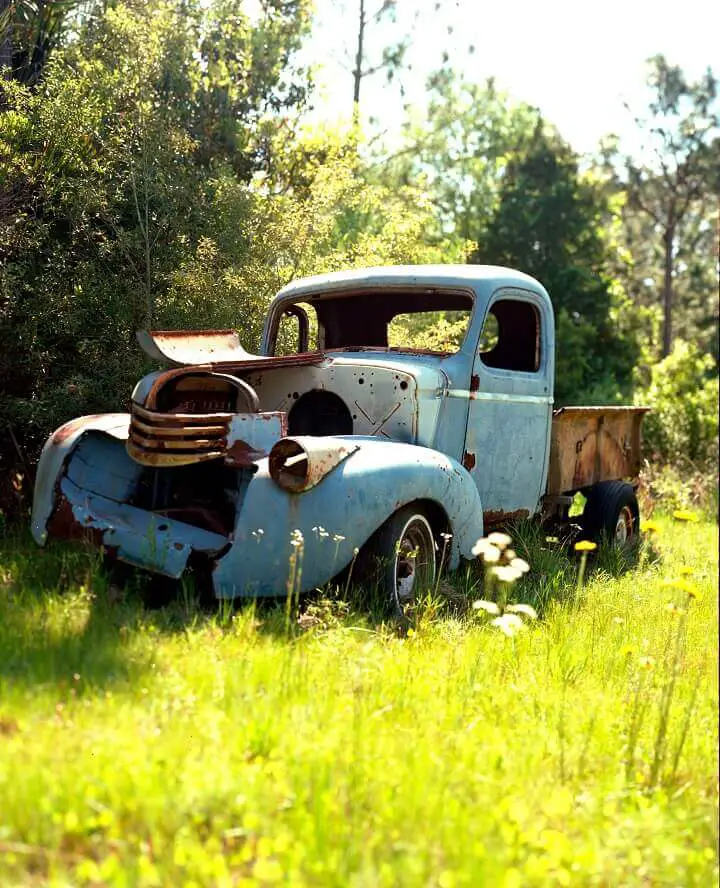 Abandoned Truck in Nature