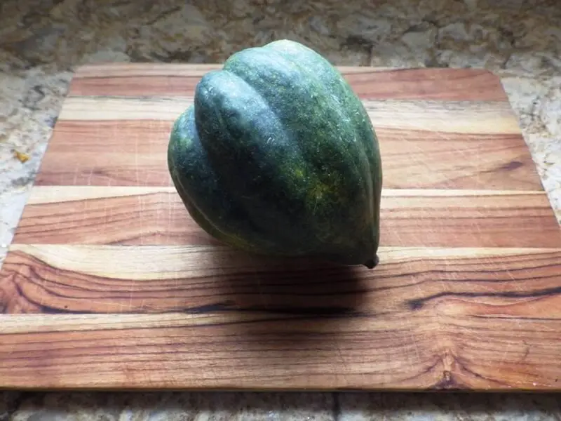 Acorn Squash