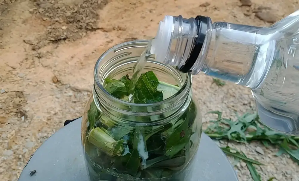 Adding Alcohol to Lettuce