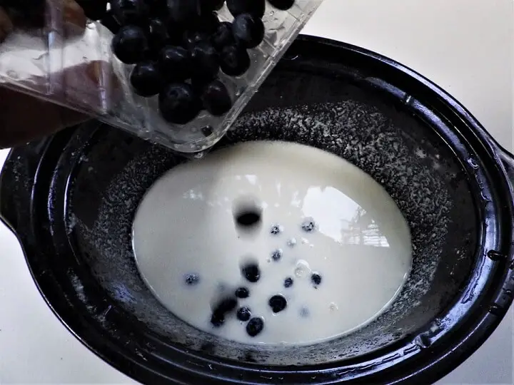 Adding Blueberries to Yogurt