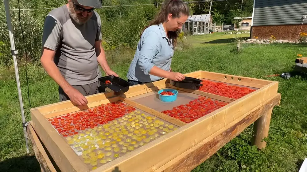 Adding Food to Dehydrator