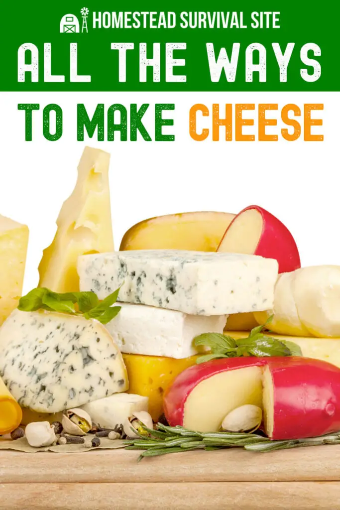 All The Ways to Make Cheese