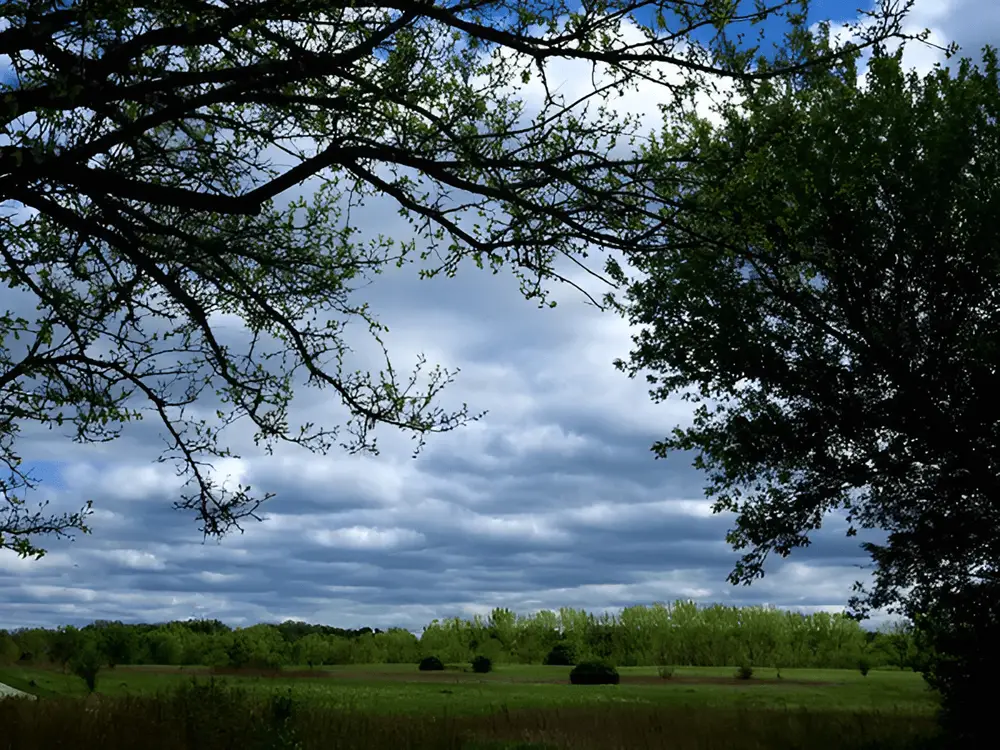 Altostratus Clouds