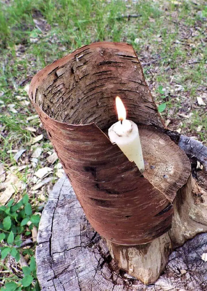 Angled Cuts In Bark Candle Lantern