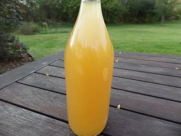 Apple Cider Vinegar On Table