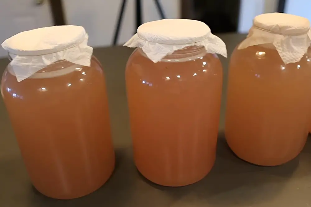 Apple Scrap Vinegar Done