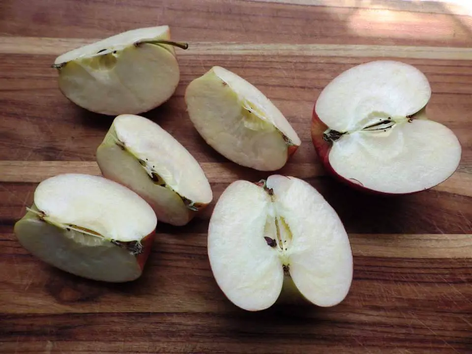 Apples Cut and Quartered