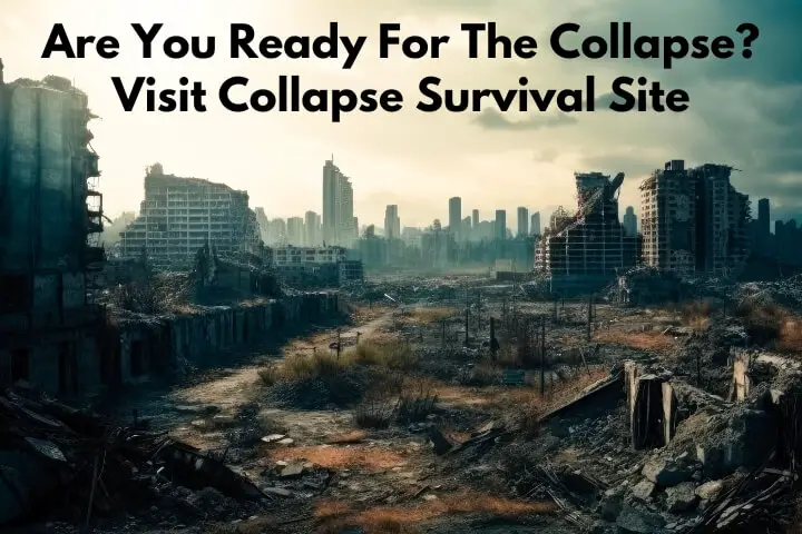 Are You Ready for The Collapse? Visit Collapse Survival Site