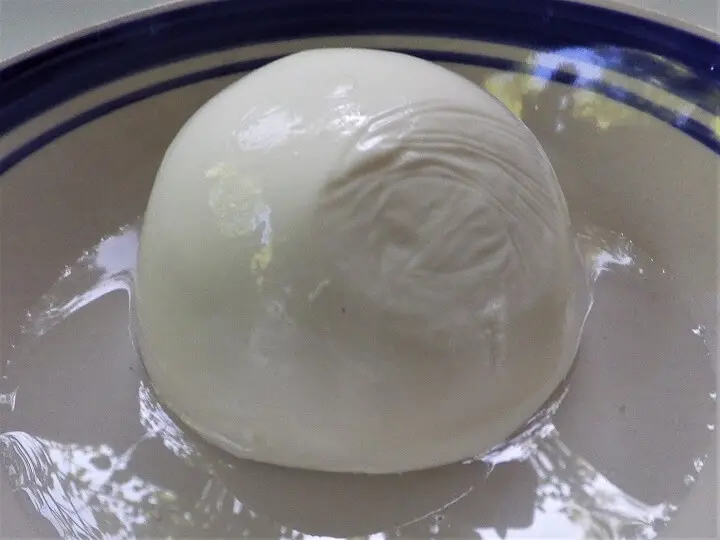 Ball of Mozzarella