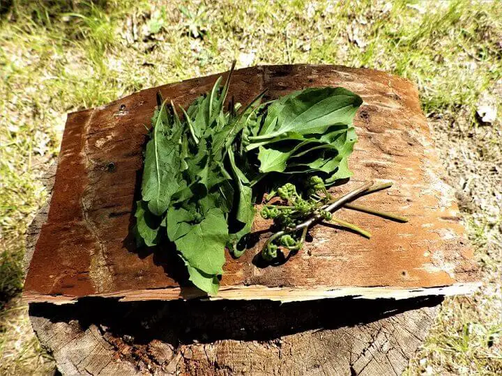 Bark Platter Or Plate