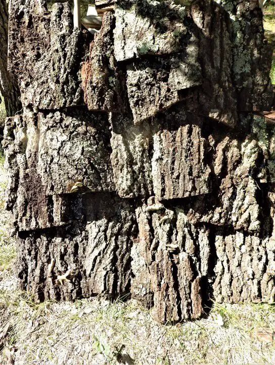 Bark Shingles