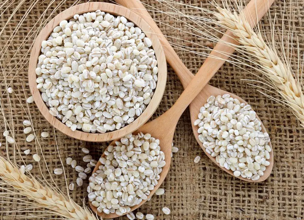 Barley Seeds in Wood Bowl