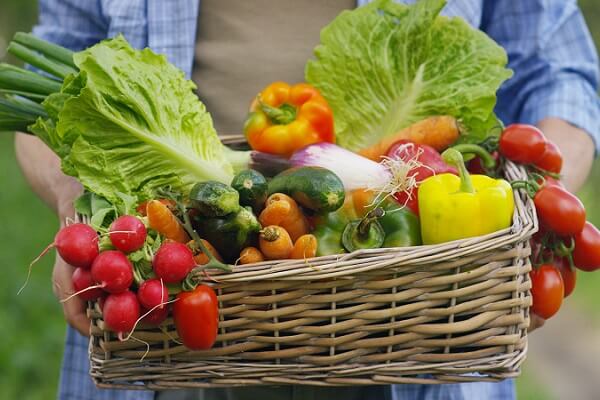 Basket of Vegetables