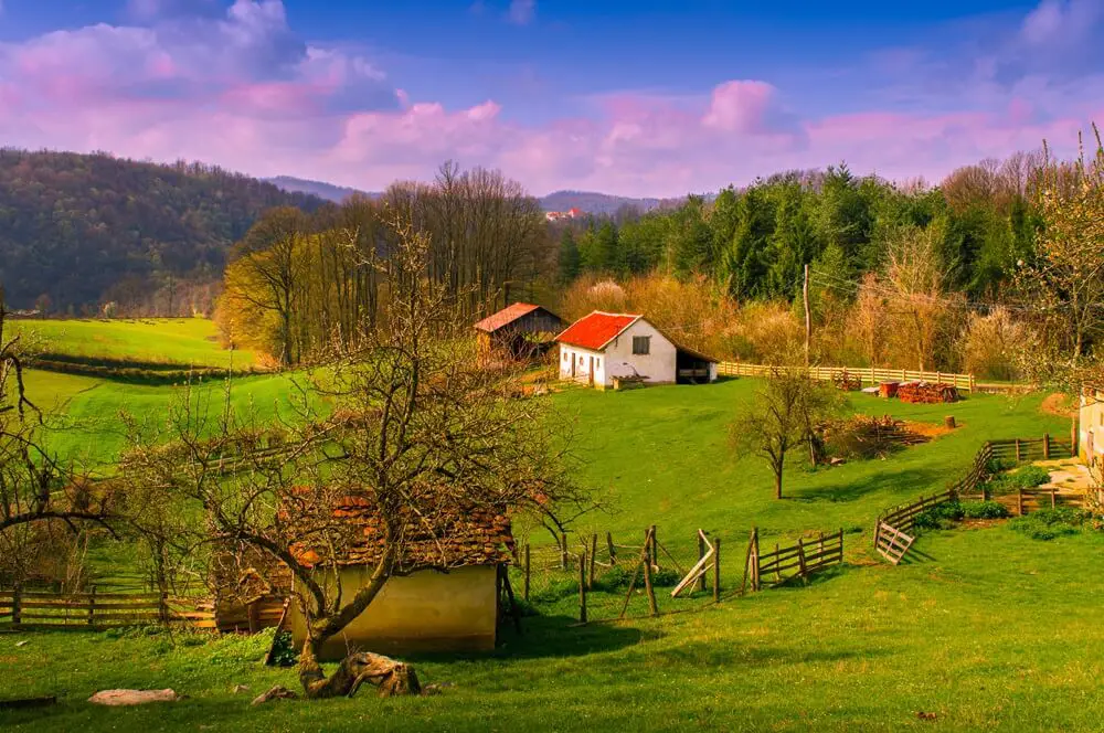 Beautiful Homestead