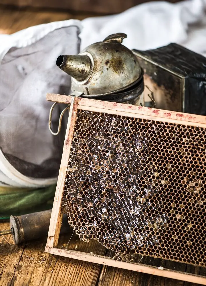 Beekeeping Tools and Equipment