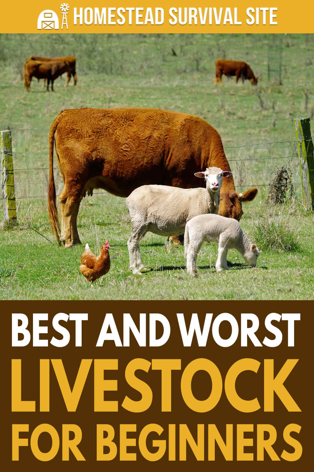 Best and Worst Livestock for Beginners